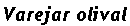 Varejar olival